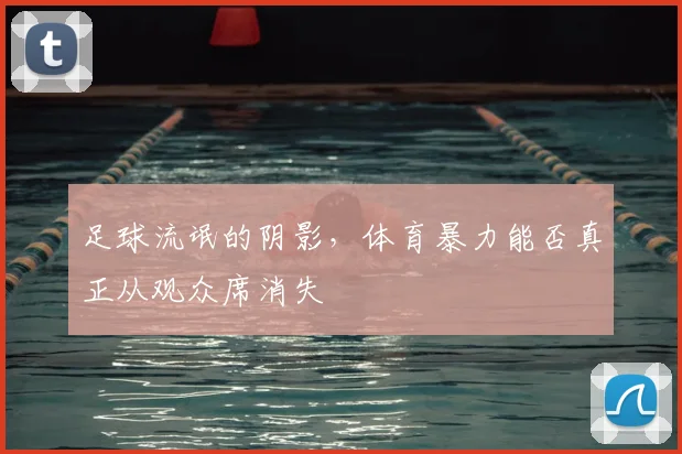 足球流氓的阴影，体育暴力能否真正从观众席消失